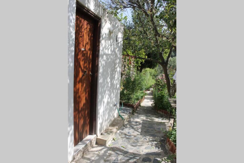 Olga'S Traditional Stone House, Palaiochora Kondokinigi エクステリア 写真